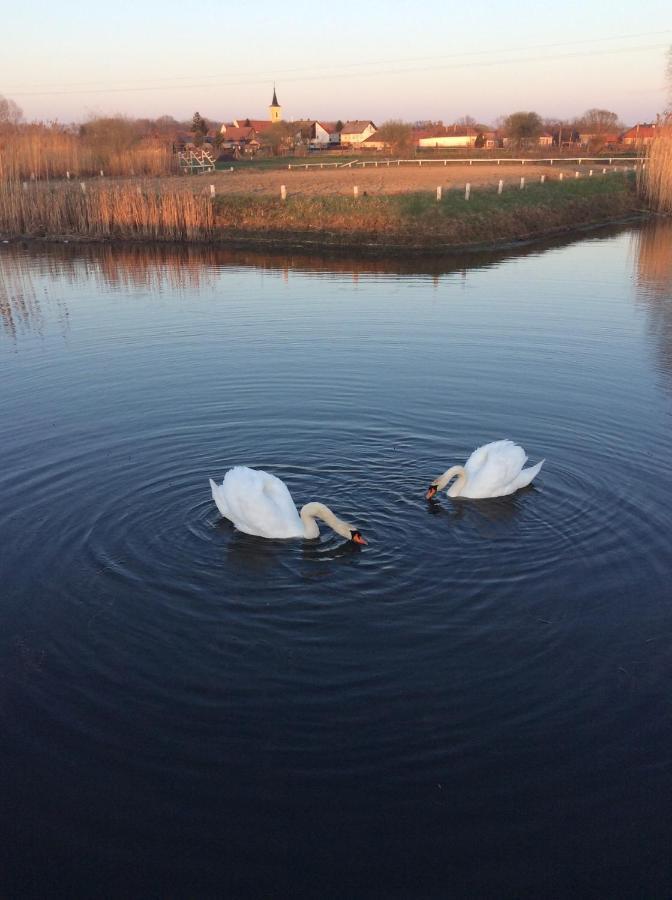 Nagybajcsi Lovaspark Es Otthon Vendeghaz ภายนอก รูปภาพ