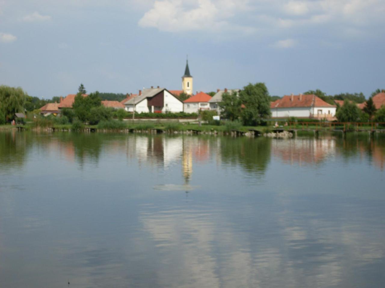 Nagybajcsi Lovaspark Es Otthon Vendeghaz ภายนอก รูปภาพ