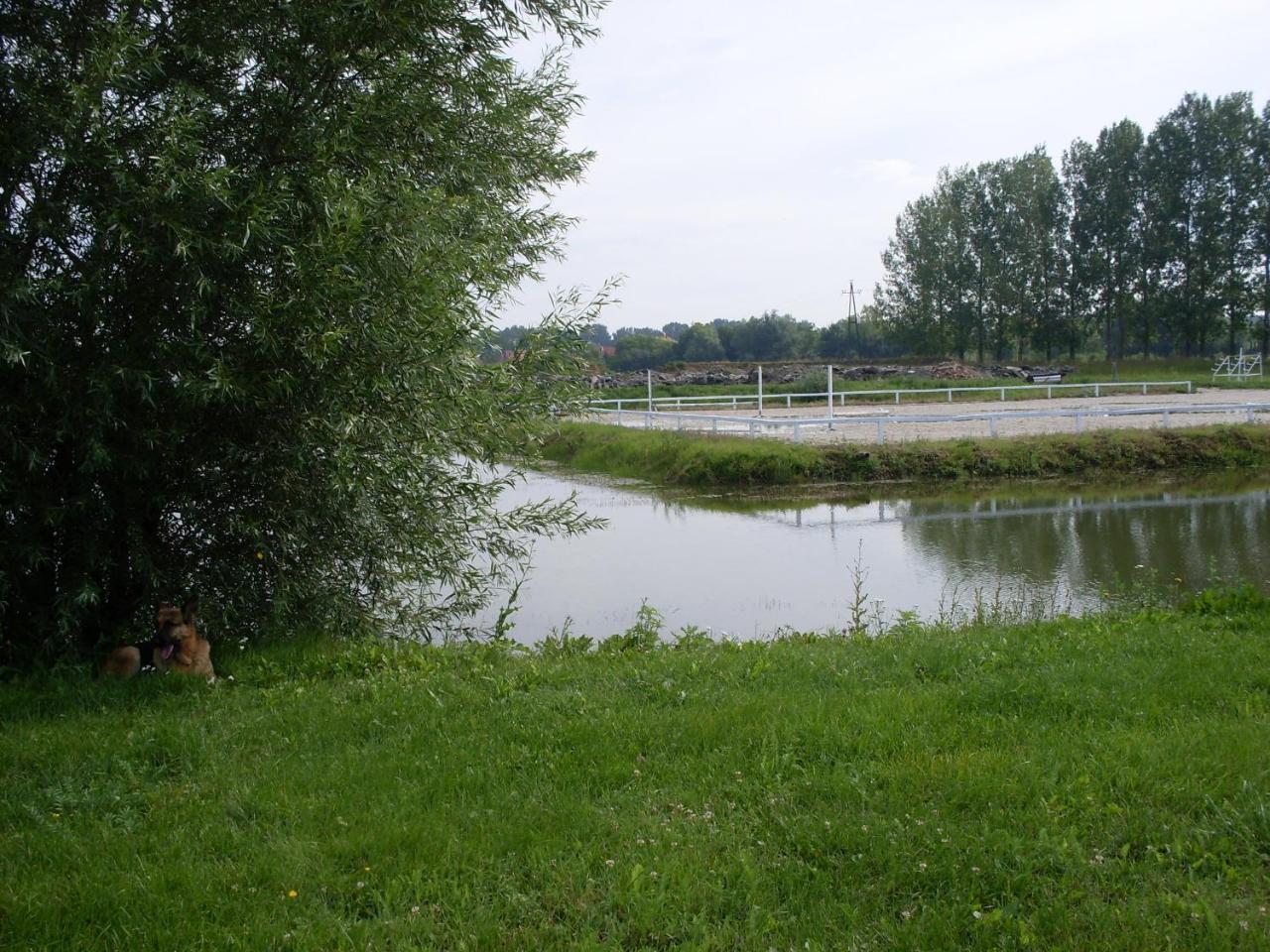 Nagybajcsi Lovaspark Es Otthon Vendeghaz ภายนอก รูปภาพ